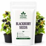 Blackberry Seeds