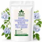 White Variegated Butterfly Pea Seeds