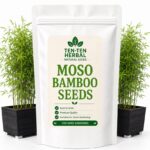 Moso Bamboo Seeds