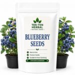 Blueberry Seeds