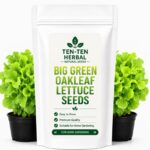 Green Oakleaf Lettuce Seeds
