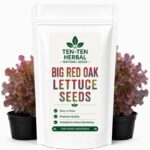 Red Oak Lettuce Seeds