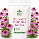 Purple Coneflower Seeds