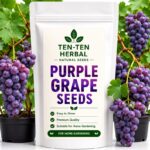 Purple Grapevine Seeds