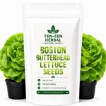 Boston Butterhead Lettuce Seeds