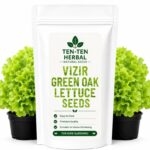 Vizir Green Oak Lettuce Seeds