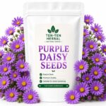 Purple Daisy Seeds