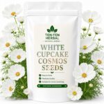 White Cupcake Cosmos Seeds